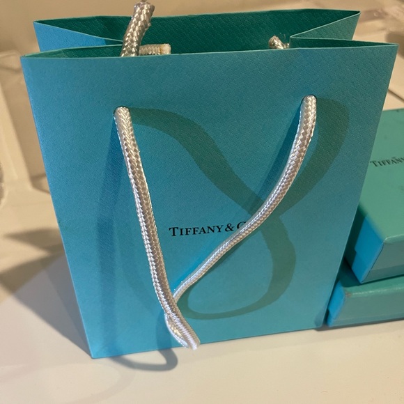 Tiffany & Co. Jewelry - Tiffany & Co. NEW small gift bag.